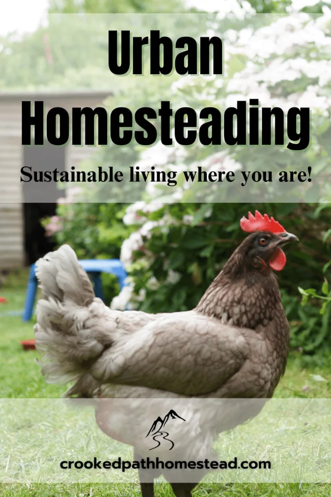 How To Urban Homestead Be A Homesteader Right Where You Are Crooked   Urban Homesteading Pinterest Image 683x1024 