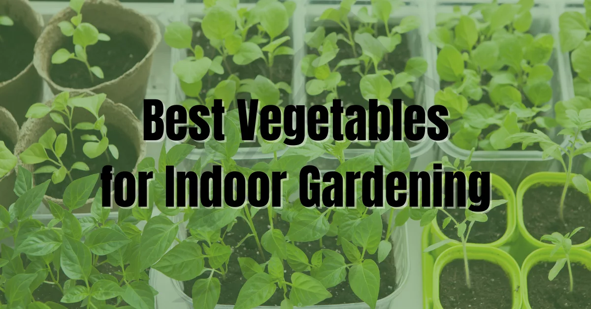 Top Picks: Best Vegetables for An Indoor Vegetable Garden - Crooked ...